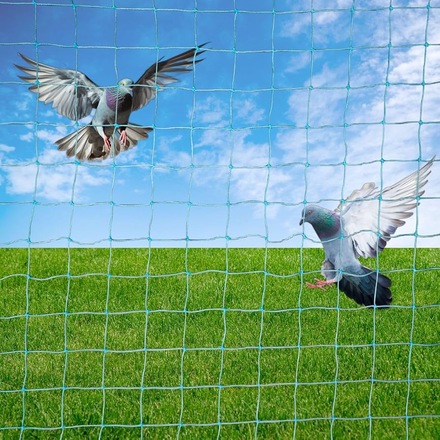 Sparrow Safety Nets